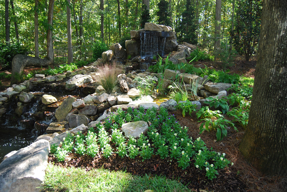 Landscaping: Landscaping Ideas In Georgia