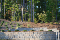 Retaining Wall