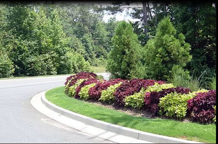 Jarrell's Landscaping